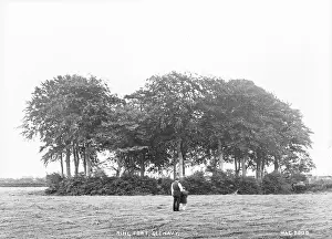 Clump: Ring fort, Glenavy