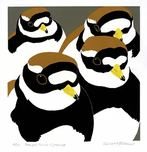 Quartet: Ringed Plover Quartet - screenprint by Robert Gillmor