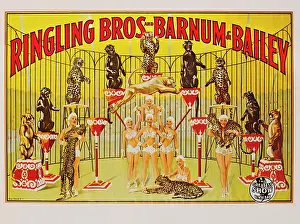 Ringling: Ringling Brothers - Barnum & Bailey - circus