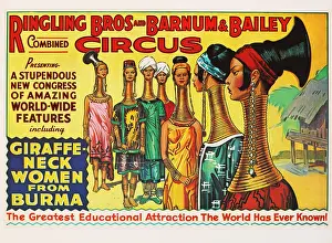 Ringling: Ringling Brothers - Barnum & Bailey - circus