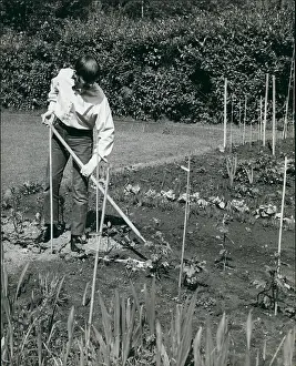 Youd: Ringo Starr, Beatles drummer, doing some gardening
