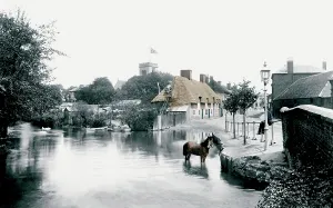 Ringwood: Ringwood, the Millstream 1900