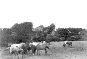 Ringwood: Ringwood, the Sanatorium 1913