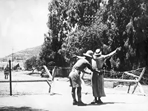 Palestinian: Riots in Palestine, 1936