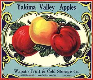 Ripe: Three Ripe Apples