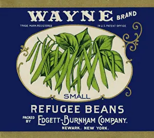 Ripe: Ripe Green Beans