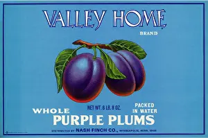 Ripe: Ripe Plums