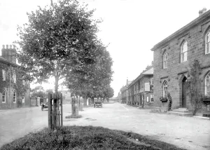 Ripley: Ripley, 1923