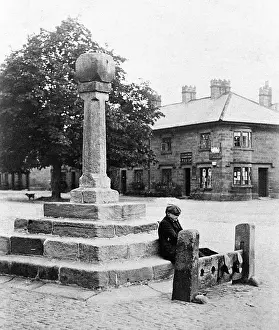 Ripley: Ripley The Stocks early 1900s