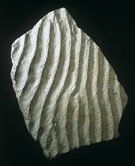 Symmetrical: Ripple-marked sandstone
