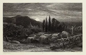 Colle: The Rising Moon