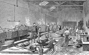Vats: Ritchie and Mcall's Preserved Meat Establishment, Houndsditc