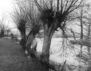 Confluence: RIVER CONFLUENCE
