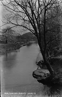 Riverbank: River Esk at Sleights