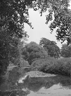 Betchworth: THE RIVER MOLE