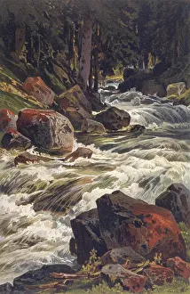 Tirolean: RIVER & MOSS