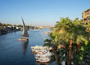 Cataract: River Nile, Aswan, Egypt