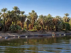 Edfu: River Nile, Aswan Governate, Egypt
