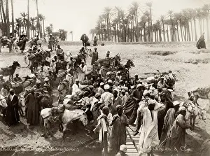 Embarkation: River Nile, Egypt, crowd of men with mules and donkeys
