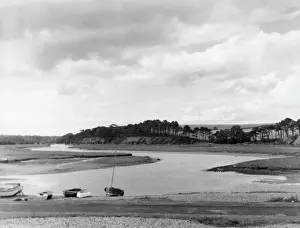 Budleigh: THE RIVER OTTER