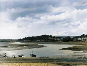 Atcolourisedpic: THE RIVER OTTER