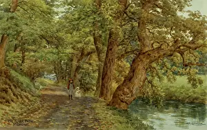 Midhurst: River Path, Midhurst, Sussex
