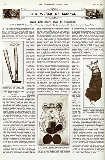 Annulatus: River pollution and its problems, ILN January 1932