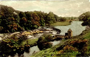 Whalley: River Ribble, Clitheroe, Lancashire