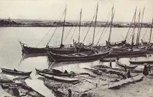 Euphrates: River Scene - Nasiriyah, Iraq