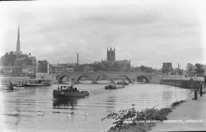 Swans: River Severn in Worcester