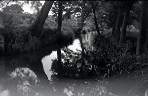 Biddenden: River, Sissinghurst, Kent