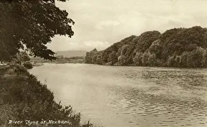 Terry Parker: River Tyne at Hexham, Northumberland