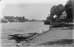 Swans: The River Walton on Thames