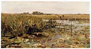 Waterlilies: RIVER WITH WATERLILIES