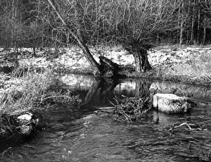 Walesby: THE RIVER WHITEWATER