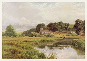 Wiley: RIVER WILEY, STAPLEFORD