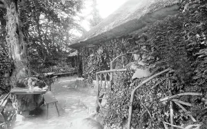 Dappled: River Wye, Moss Cottage 1893