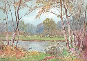 Stannard: On the Riverbank