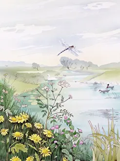 Malcolm Greensmith Collection: Riverbank scene