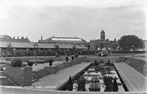 Lilies: Riverside Gardens