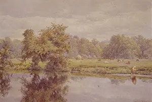 Belvoir: Riverside Meadows, Belvoir Park