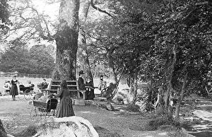 Tavistock: Riverside Park, Tavistock