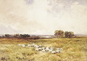 Wimperis: The Riverside Pasture