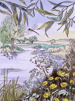 Celandines: Riverside scenery