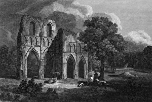 Roach: Roach Abbey, Yorkshire