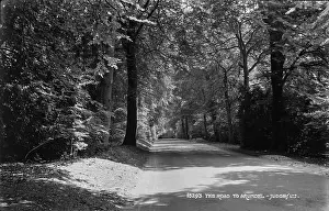 Canopy: The Road to Arundel