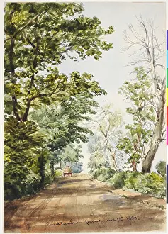 Comber: Road at Barnhill, Comber