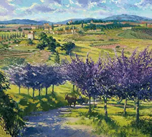 Orchards: Road Through the Blossom Orchards