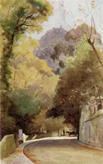 Sintra: A Road in Cintra