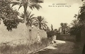 Laghouat: Road, Laghouat